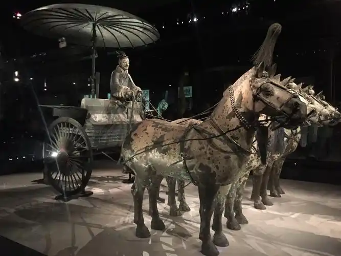 我对这辆马车可是印象深刻,因为它可是这世界上最贵的车了,是无价之宝