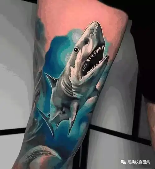 鲨鱼纹身素材