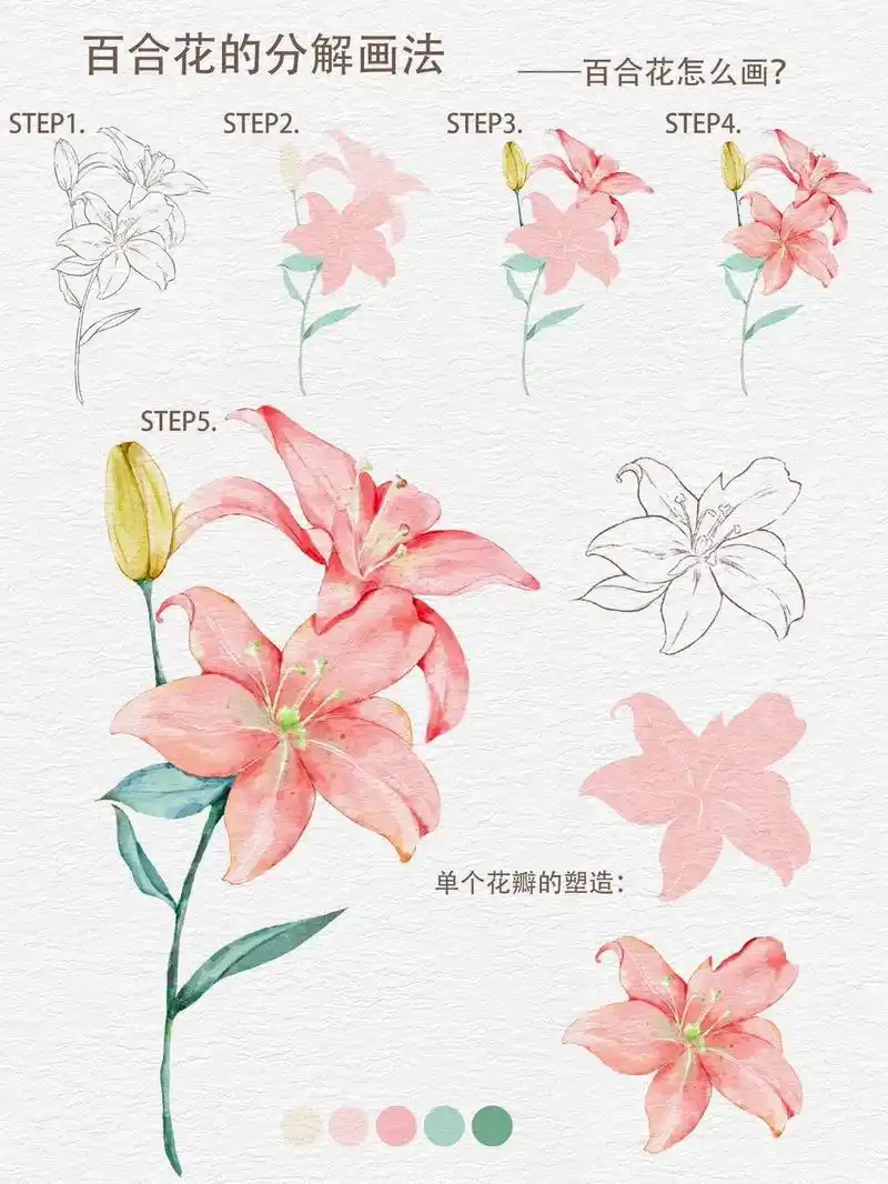 百合花的分解画法～#插画 #procreate绘画 #水彩花 - 抖音