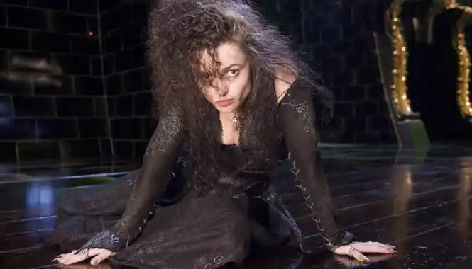 贝拉和小天狼星的关系