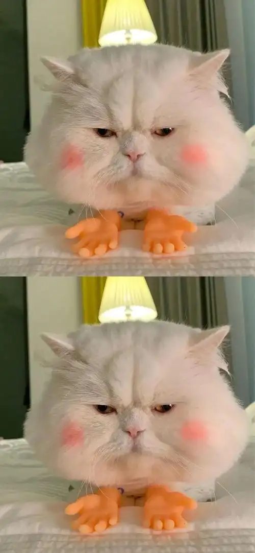 超级好看的腮红猫球球子壁纸!