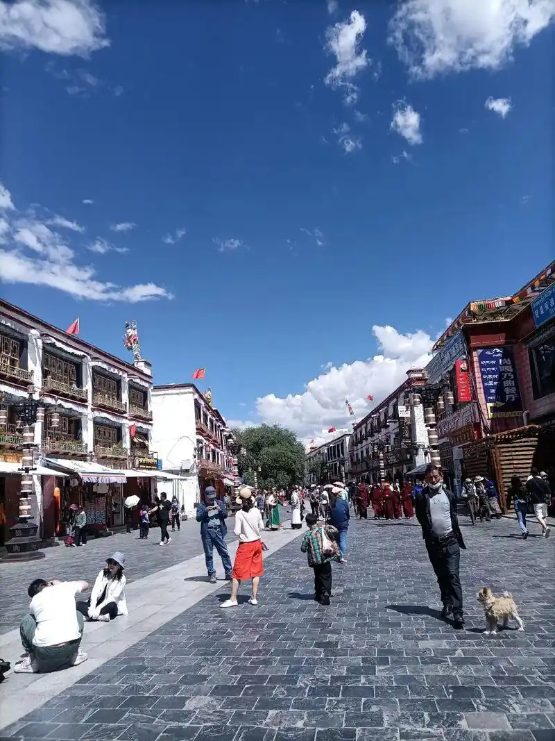 八廓街.八廓街引又名八角街,位于拉萨市旧城区,是拉萨著名的转 - 抖音