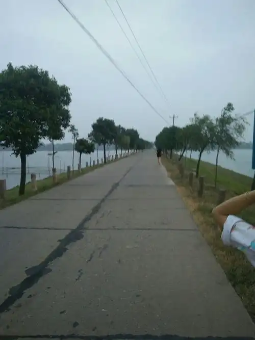 p data-id="go02vye7vw">石公桥镇,隶属于湖南省常德市 a target="