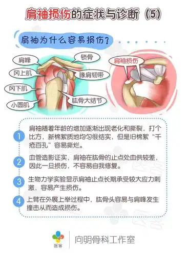 【医客工作室】医疗科普漫画:肩袖损伤的症状与诊断|动漫|短篇/四格