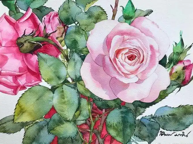 水彩水粉油画丙烯分不清科普帖来啦