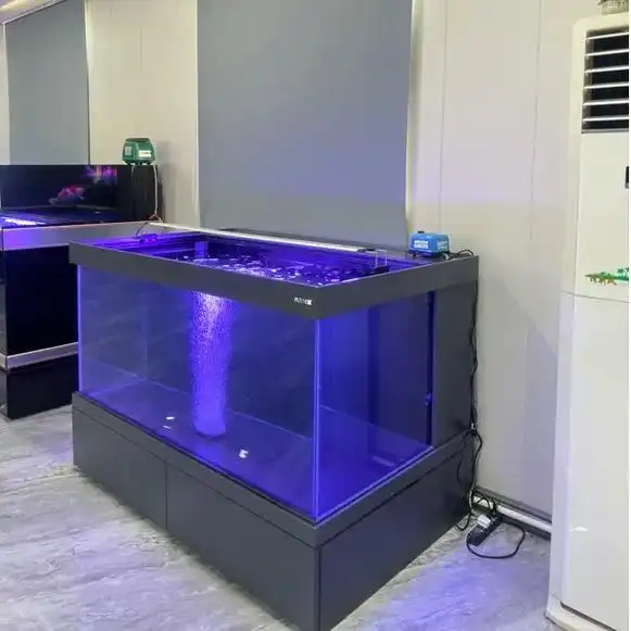 8万 关注 家里的锦鲤们终于有了新家!这个地缸鱼缸不仅送货入户