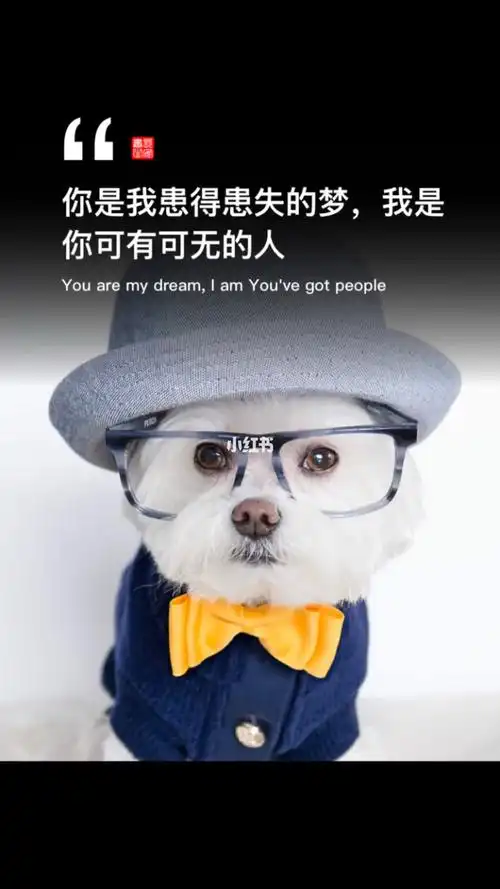 你是我患得患失的梦我是你可有可无的人