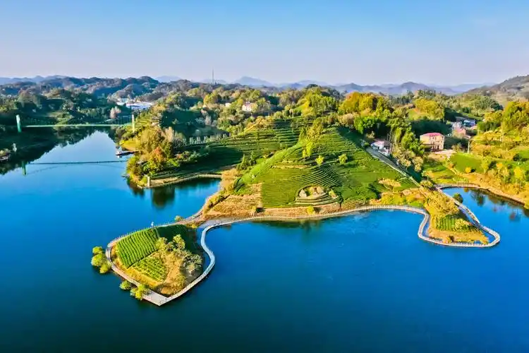 水库上游六安西茶谷主题公园(省响洪甸水库管理处提供)春华秋实满庭芳