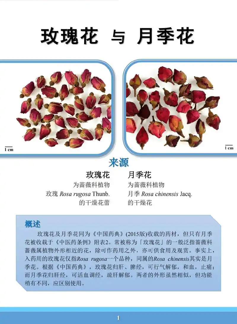 易混淆药材外观与显微鉴定——#玫瑰花 与#月季花#抖音图文来 - 抖音