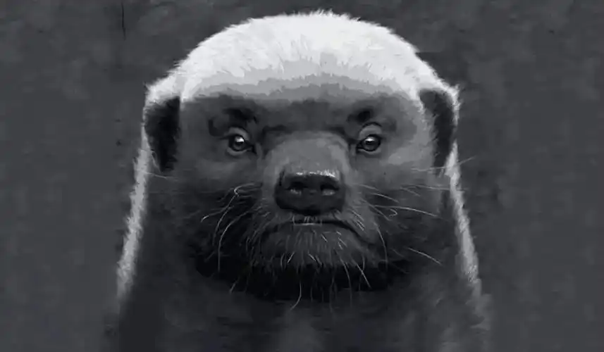 平头哥是什么动物