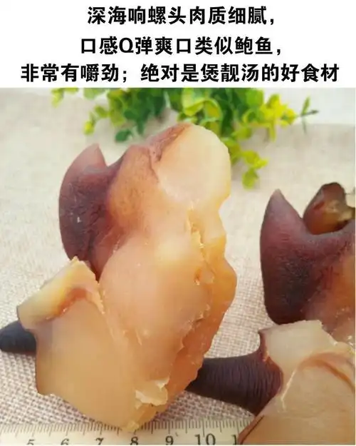 淡干响螺肉 响螺头干货 大号响螺嘴 深海螺肉 新鲜响螺干 煲汤料 特靓