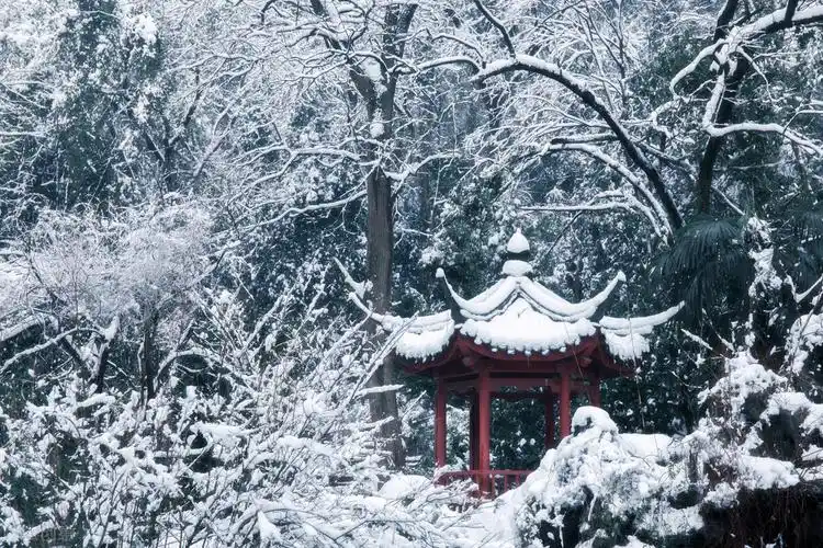 一下雪,中国就穿越了几千年,惊艳了全世界!_鹅毛大雪