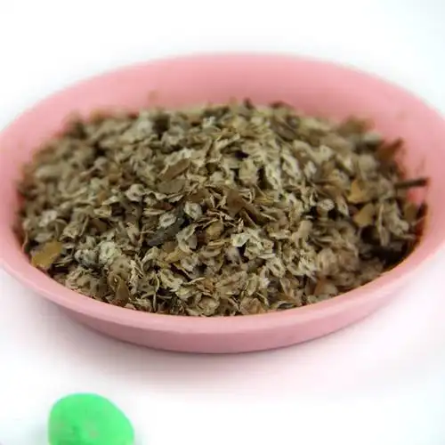 泡桐树种子轻型木质木材树木白花大果泡桐空桐树当年新采种子