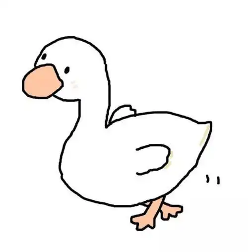 一只卡通的白色鸭子头像