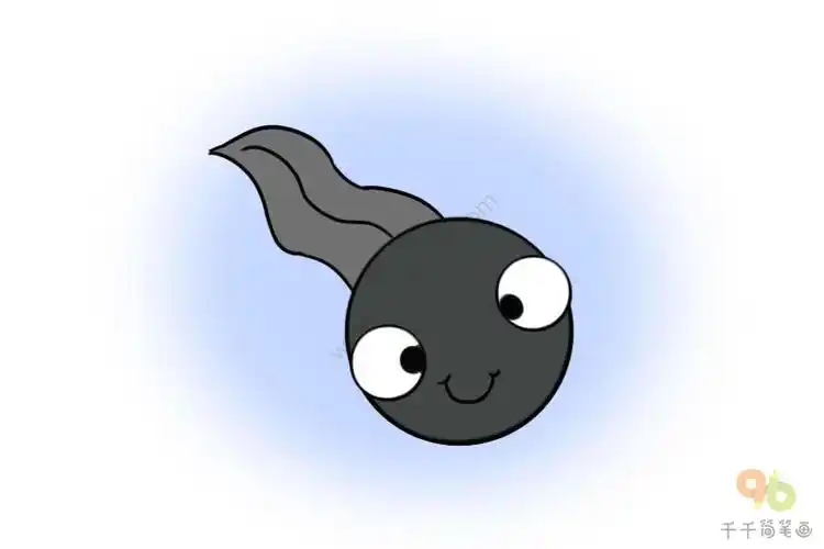蝌蚪简笔画步骤图