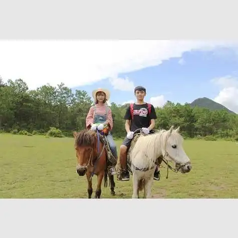 骑马的情侣头像图片 情侣头像图片大全 -【爱个性】