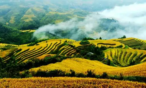 挂在天边最美的风景—广西龙胜县龙脊金坑大寨梯田