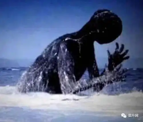 尼斯湖水怪或许真实存在,我们的星球仍存未知生物吗?