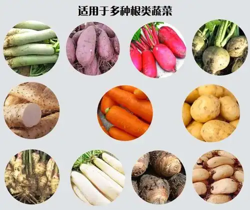 根茎蔬菜清洗机 毛辊刷清洗机