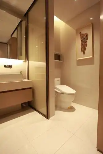 三分离卫生间参考