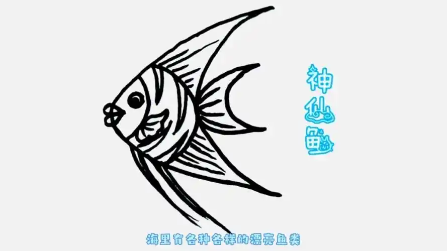 神仙鱼——每天一个简笔画,宝宝轻松会画画!