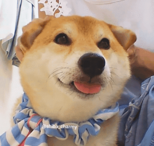 python面试经验python找工作有多难这100道python笔试面试题赶紧收藏