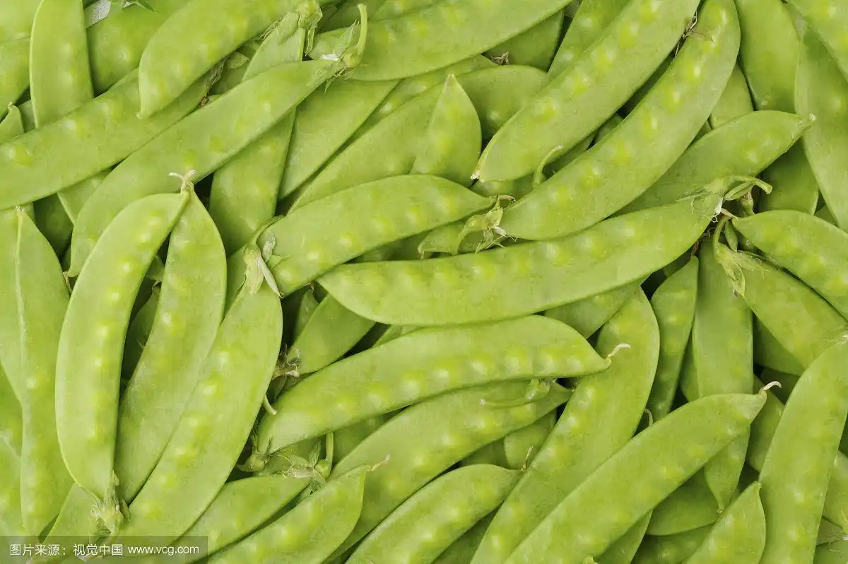 豌豆