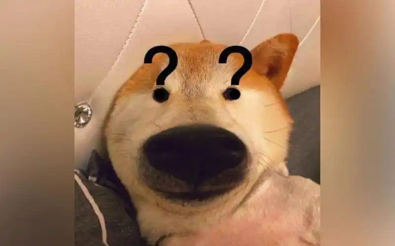 别真是个沙雕吧