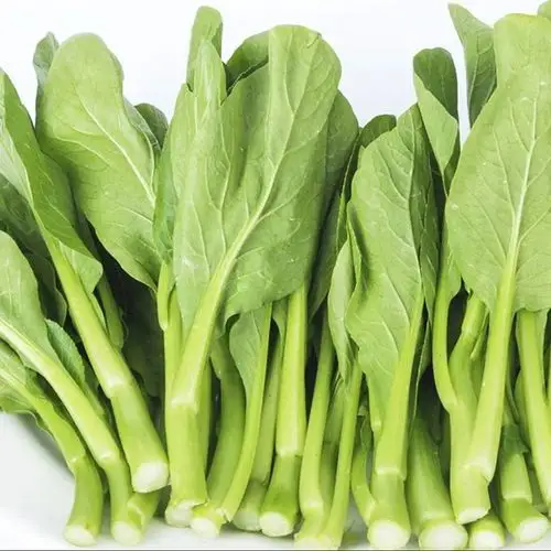 菜心新鲜小青菜叶菜类蔬菜菜苔新鲜包邮非宁夏广东菜心新鲜 4斤装