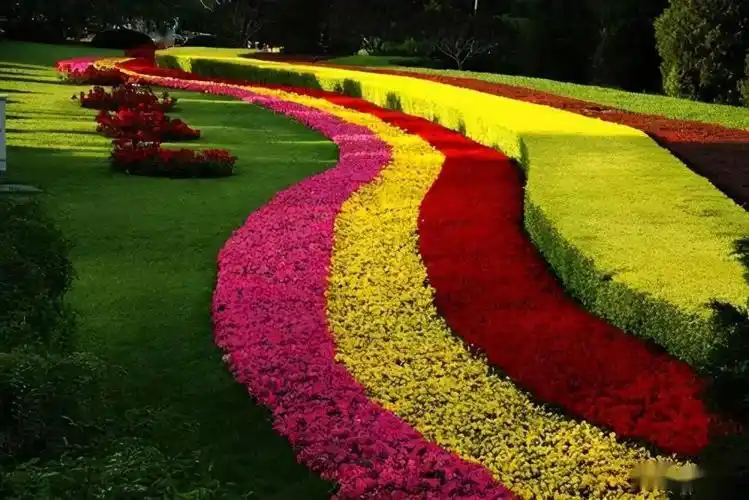 园林绿化的色块大小如何界定?