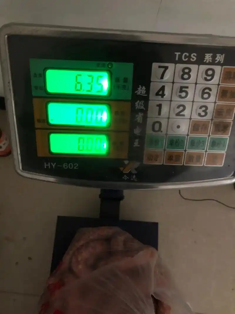 小儿子要吃香肠.今年的香肠还是13斤纯瘦肉灌的,不舍得买肥肉 - 抖音