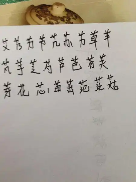 请问带艹的字有哪些