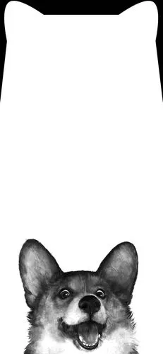 刘海耳朵壁纸丨给手机换个造型超可