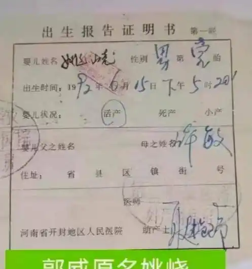 谁是未婚先孕杜粉揪住许敏出生证不放老杜1995年结婚证引质疑