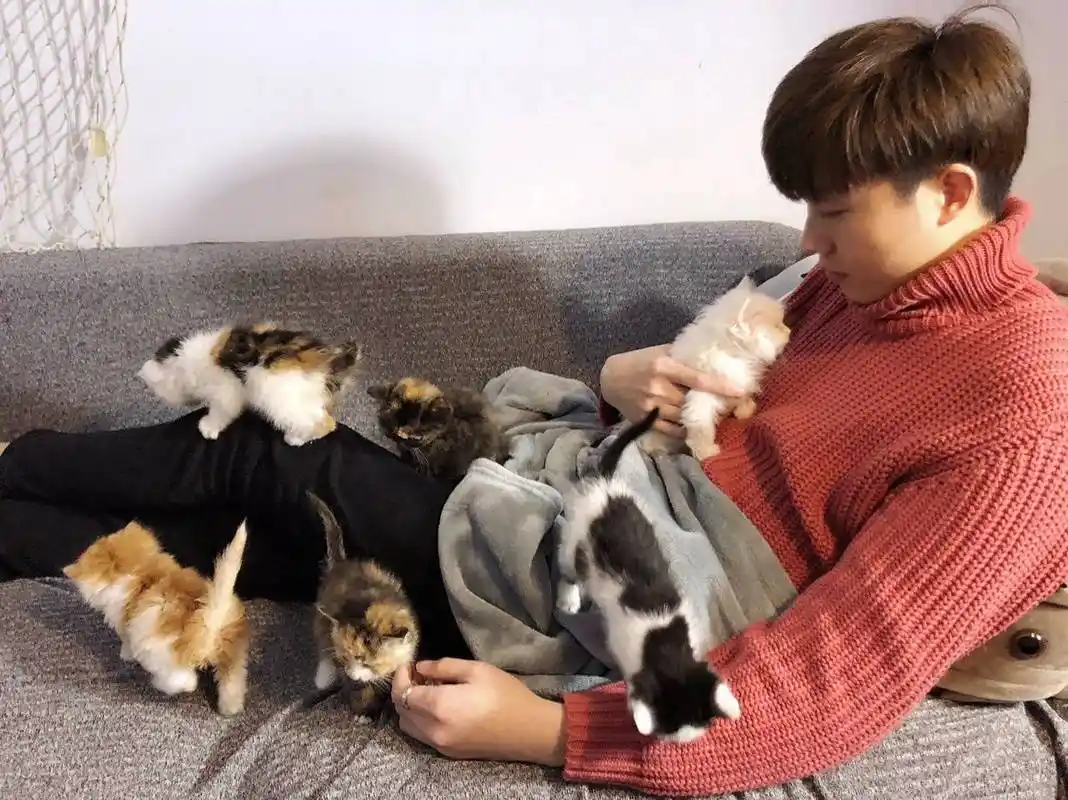 主人和猫咪合影照,非常有爱,网友:好想抱走一只小蓝猫!