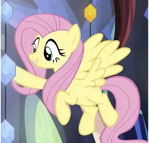 小马宝莉之柔柔的智慧话语集