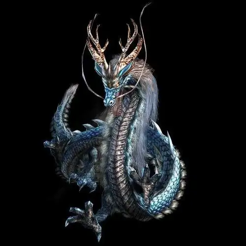 求这张龙的高清大图.谢谢大神了!