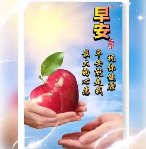 最新创意好看的早安祝福图片带字温馨 2024唯美早安问候祝福图片文字