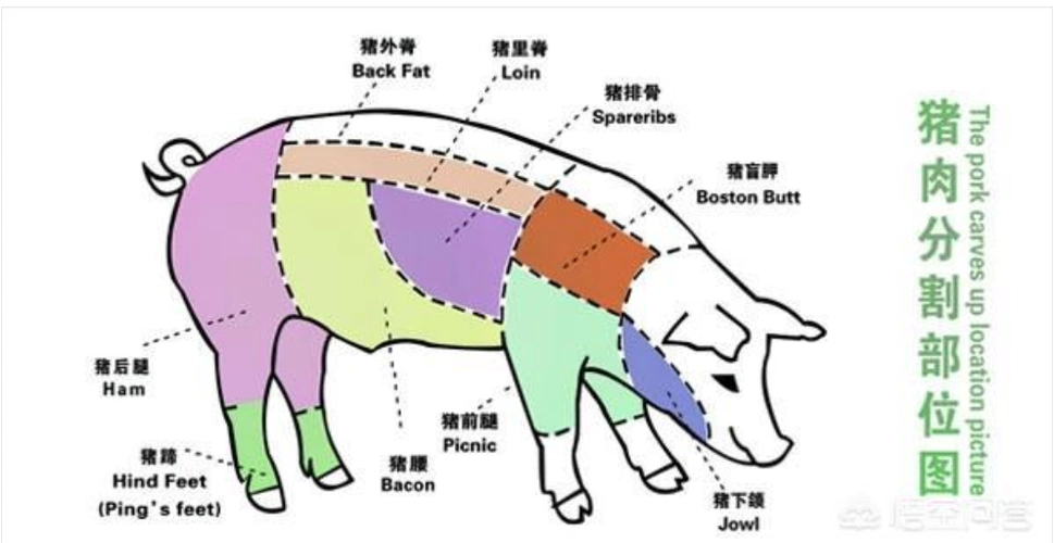 【今日话题】农村老人说,猪身上有一块肉叫"槽头肉",最好木要吃,这是