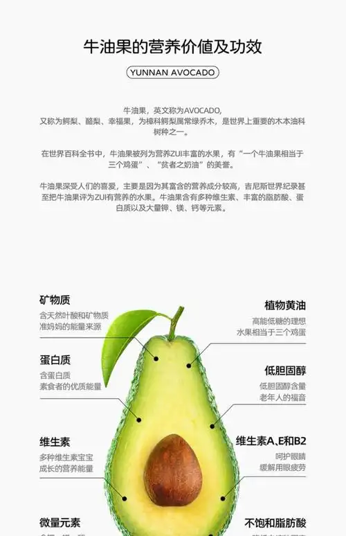 展佳园林机械专营店商品编号:10063010346784商品名称:云南哈斯牛油果