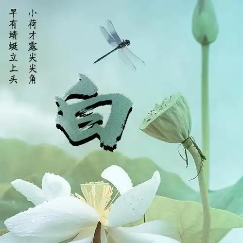 误入藕花深处:34张荷花姓氏头像,出淤泥而不染