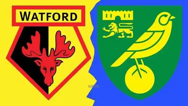 沃特福德vs诺维奇前瞻:英超保级大战 两队同时止住6连败 盼胜