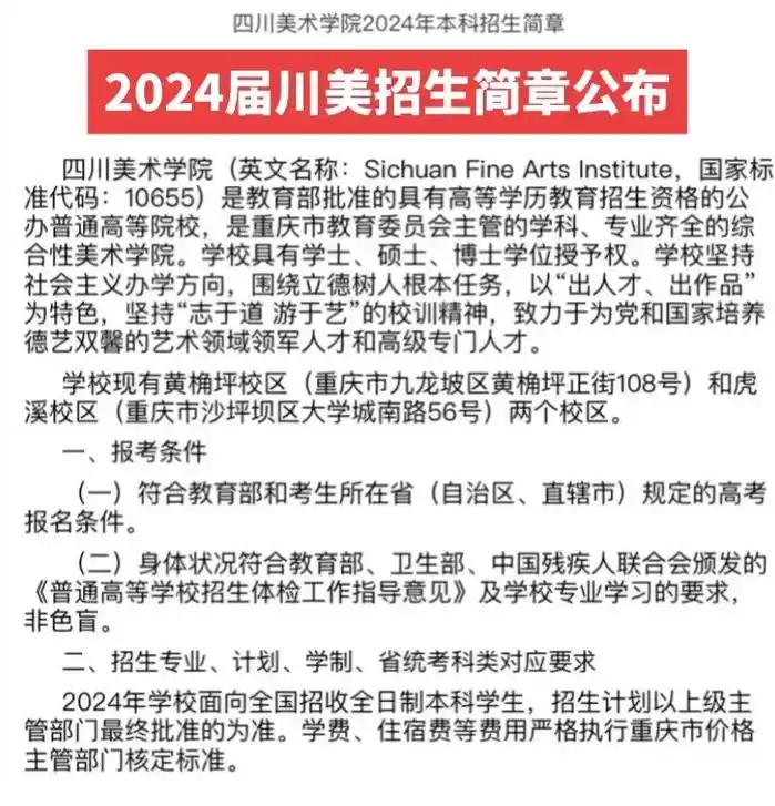 2024届四川美术学院招生简章已公布.2024九大美院之川美 - 抖音