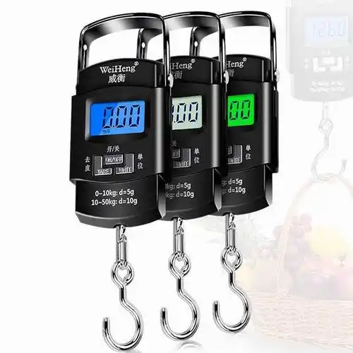 手提秤威衡精准手提电子秤50公斤家用小型便携式弹簧高精度快