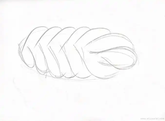 麻花简笔画怎么画麻花简笔画步骤