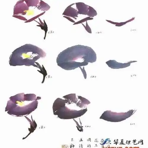 写意牵牛花画法