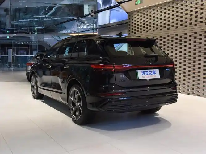 上汽奥迪 奥迪q5 e-tron 2023款 40 e-tron 星耀型 黑武士版