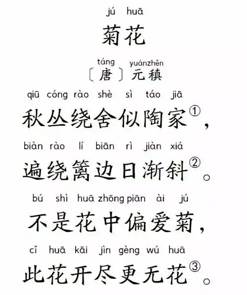 小学生扩展古诗80首菊花