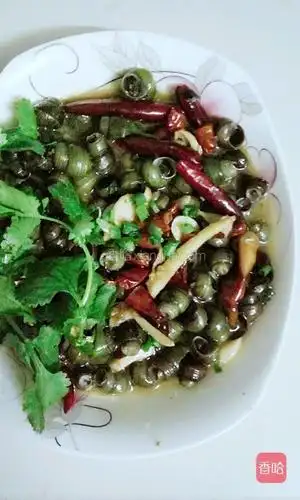 水煮田螺的做法_菜谱_香哈网