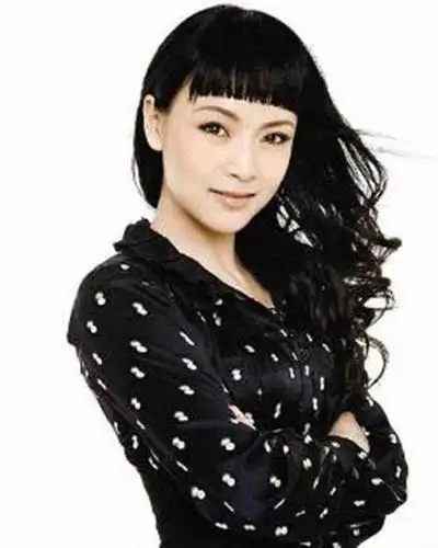 陈力(企业家) 简历 - 名人简历